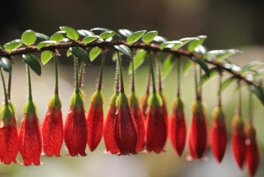佛山三水区10私人快速借钱网，轻松解决资金难题