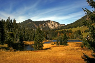 佛山三水区10民间私贷攻略：揭秘低成本借贷的秘密