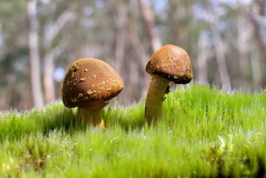 佛山三水区10私人老板放款：轻松融资的秘密通道